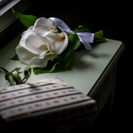 Domus Duorum 4* Oporto