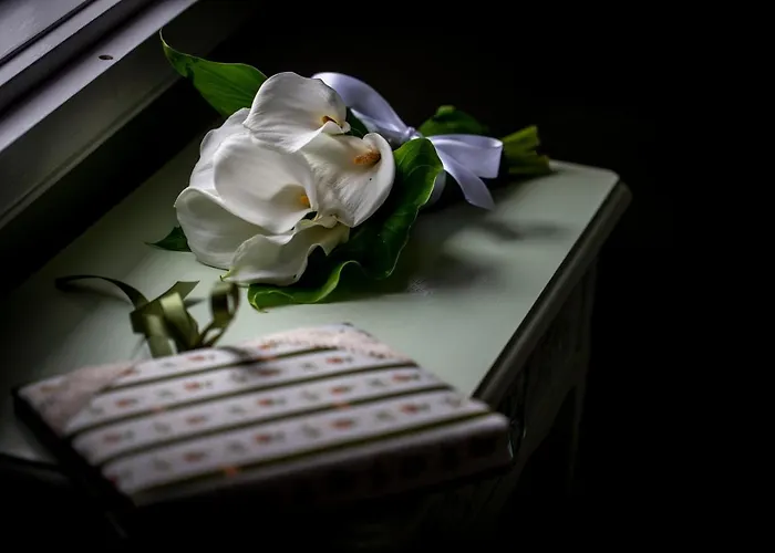 Domus Duorum 4* Πόρτο